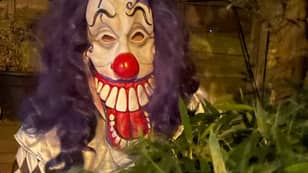 Creepy Clown Spotted Crouching Behind Bushes In The Dark
