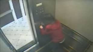 Footage Appears To Show Elevator Near Elisa Lam’s Room At Cecil Hotel Going Off By Itself