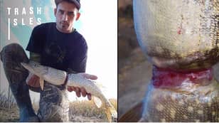 Injured Fish Found In Canada Illustrates The Harm Littering Can Cause