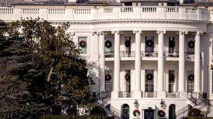 White House Orders To Cut Down Famous Tree That’s Nearly 200 Years Old 