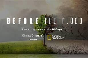 ​WATCH: We Live Streamed Leonardo DiCaprio’s ‘Before The Flood’