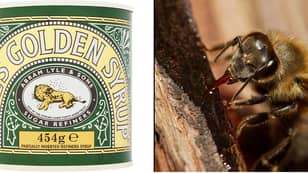 Lyle's Golden Syrup Lovers Are Horrified To Notice 'Dark' Detail On Tin