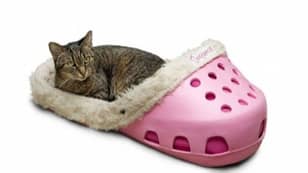 Croc-Style Pet Beds Exist And They Look Amazing