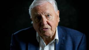Sir David Attenborough Says Anti-Vaxxers Are The ‘Ignorant’ Minority