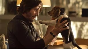 John Wick Directors Had To Fight Studio To Keep Dog's Death In Film