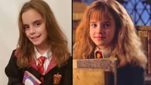 Little Girl Looks So Much Like Harry Potter's Hermione People Stop Her In The Street