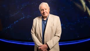 Sir David Attenborough Breaks Record For Instagram User To Reach One Million Followers Fastest