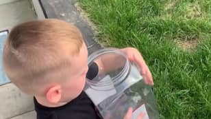 Boy Releases Butterfly Only For His Dog To Eat It Seconds Later