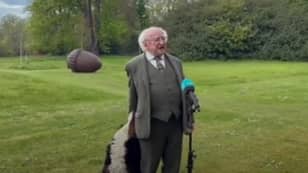 ​President Of Ireland's Dog Steals The Show During TV Interview