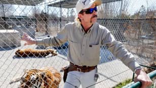 Joe Exotic Has Changed His Mind About Keeping Animals In Cages After Experiencing Prison