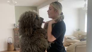 Owner Of 'Chewbacca Dog' Had No Idea Her Pet Would Become Human Sized