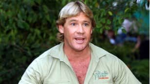 Footage Reveals The One Animal Steve Irwin Refused To Wrangle