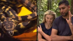 Amir Khan Bottled The First 'I'm A Celebrity' Bushtucker Trial And Everyone's Making The Same Joke