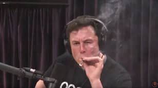 Tesla Billionaire Elon Musk Smokes Weed Live On Internet Chat Show