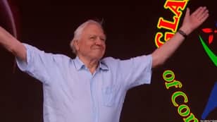 Sir David Attenborough Makes Surprise Appearance At Glastonbury To Warn Against Plastic Pollution
