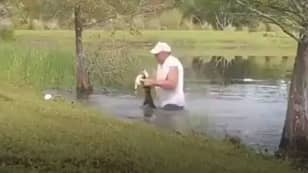 Man Jumps Into Water After Alligator Snatches His Dog