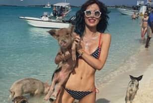 I Am Sorry To Have To Inform You Of The Death Of Some Of The Bahamas' Famous Pigs