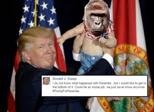 Something Brilliant Happens If You Send A Harambe Related Message To Donald Trump