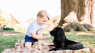 Photograph Of Prince George Feeding Dog Ice-Cream Prompts RSPCA Warning 