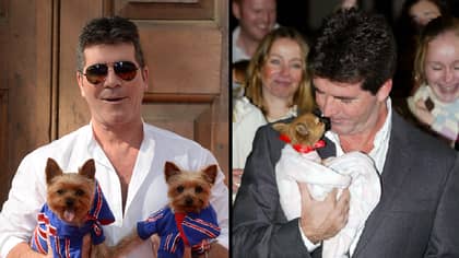 Simon Cowell Donates £25,000 To An Anti-Dog Meat Charity