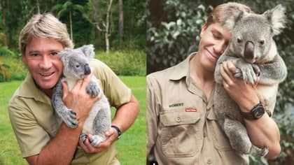 Robert Irwin Recreates His Dad's Famous Koala Photo