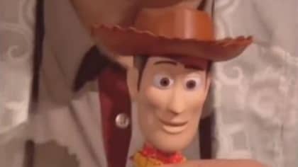Guy Who Voices Woody Toy Is Actually Tom Hanks' Brother
