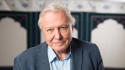 Planet Earth Bosses Are Making A Third Series With Or Without David Attenborough