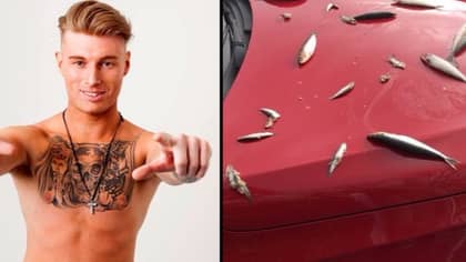 Bloke Who Claimed He’s Too Famous To Work Has Fish Plastered Over New Car