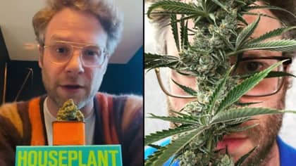 Seth Rogen Has Started His Own Weed Company