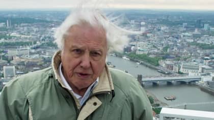 Sir David Attenborough Is Going To Present A 'Blue Planet' Sequel
