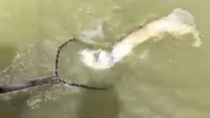 Video Shows Fisherman Catching Two Fish On The Same Line