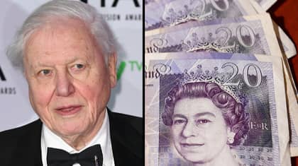 David Attenborough Tops Poll To Become Face Of The New £20 Note