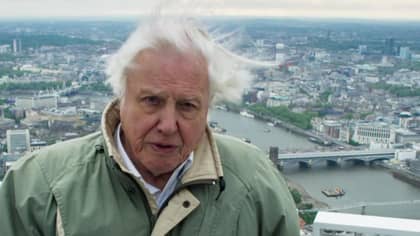 David Attenborough's 'Planet Earth II' Sign-Off Was Epic