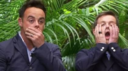 I'm A Celebrity Theme Park Is Coming To The UK This Year 