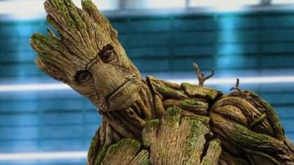 ​‘Guardians Of The Galaxy’ Director Reveals Groot Actually Died In First Film