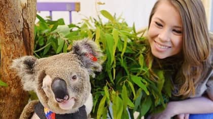 ​Bindi Irwin Reveals She’s Walking Down The Aisle With A Koala