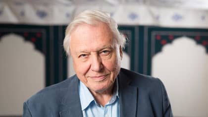 Sir David Attenborough Says Filming 'Blue Planet 2' Was A 'Tragic Sight' At Times