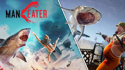 'Maneater' Review: A Jaws-Droppingly Brutal Open-World Shark 'Em Up