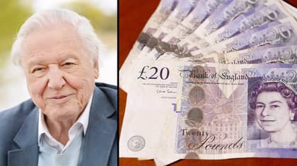 Brits Want Sir David Attenborough To Be The Face Of The New £20 Note 