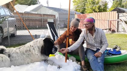 Snow Delivered Specially For Winter-Loving Dog To Have Her Last Play Before She Passed Away