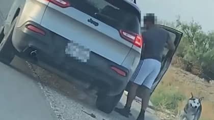Man Arrested In Connection With Viral Video Showing Husky Being 'Abandoned' On Road