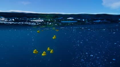  ‘Blue Planet II’ Viewers Scream Conspiracy Over Plastic Duck Footage