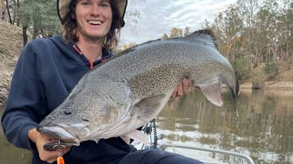 ​Aussie Teen Wins $80,000 For Snagging Monster Murray Cod 