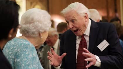 David Attenborough Has Become The Subject Of An Epic Photoshop Battle