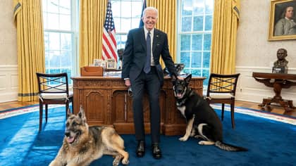 Joe And Jill Biden Welcome A New Puppy Called Commander To The White House