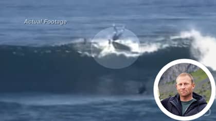Shannon Ainslie Was Attacked By Two Great White Sharks At Once And Lived To Tell The Tale
