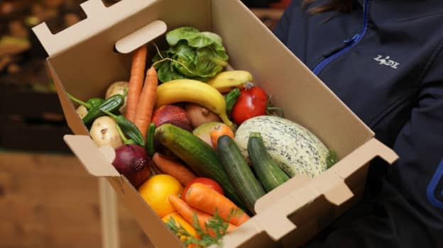 Lidl Will Start Selling 5kg Of Damaged Fruit And Vegetables For £1.50