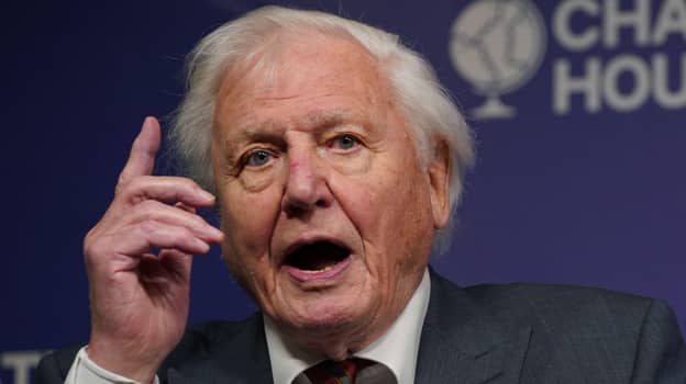Sir David Attenborough Slams Australia For Not Doing More To Combat Climate Change