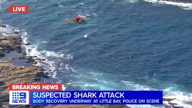 Swimmer Killed In ‘Catastrophic’ Shark Attack At Sydney Beach