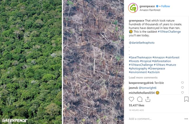 Conservationist groups are using the #10YearChallenge to inform people about the dangers of global warming. Credit: Instagram